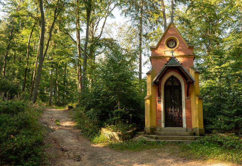 Turistické trasy lázeňskými lesy Karlovy Vary