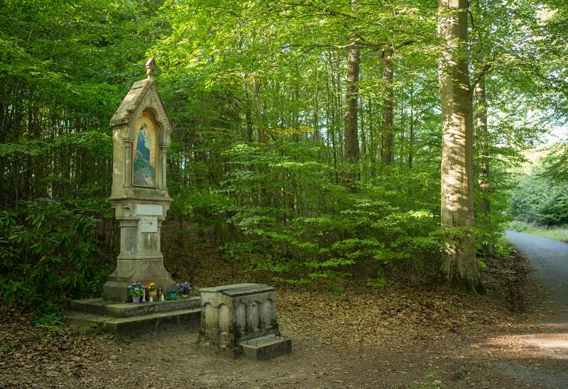 Turistické trasy lázeňskými lesy Karlovy Vary