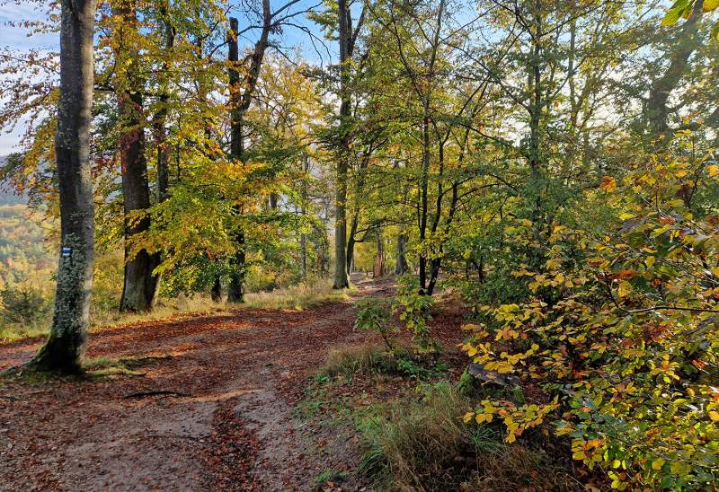 Turistické trasy lázeňskými lesy Karlovy Vary