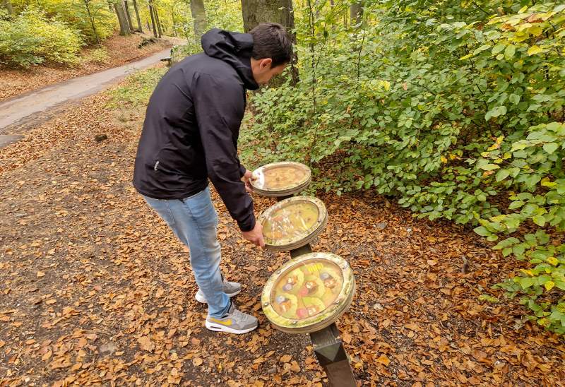 Turistické trasy lázeňskými lesy Karlovy Vary