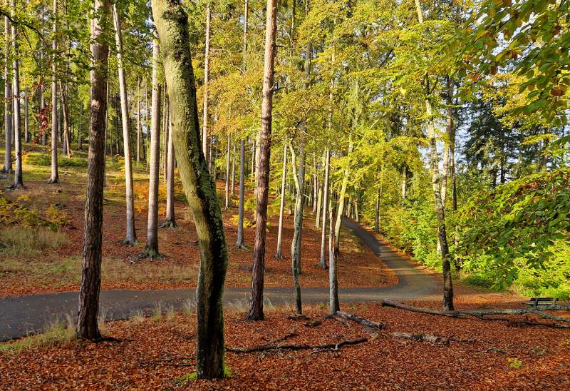 Turistické trasy lázeňskými lesy Karlovy Vary