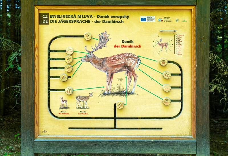 Turistické trasy lázeňskými lesy Karlovy Vary