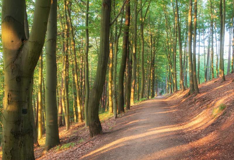 Turistické trasy lázeňskými lesy Karlovy Vary