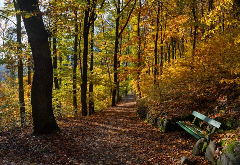 Turistické trasy lázeňskými lesy Karlovy Vary