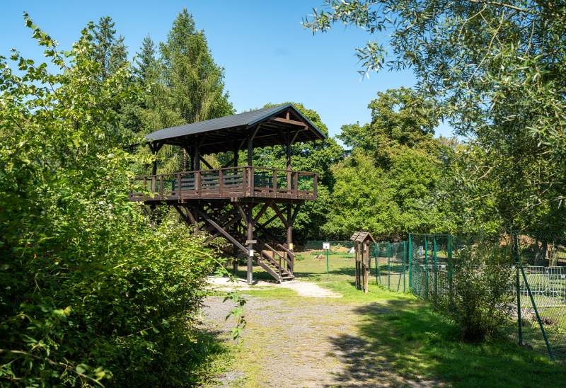 Turistické trasy lázeňskými lesy Karlovy Vary