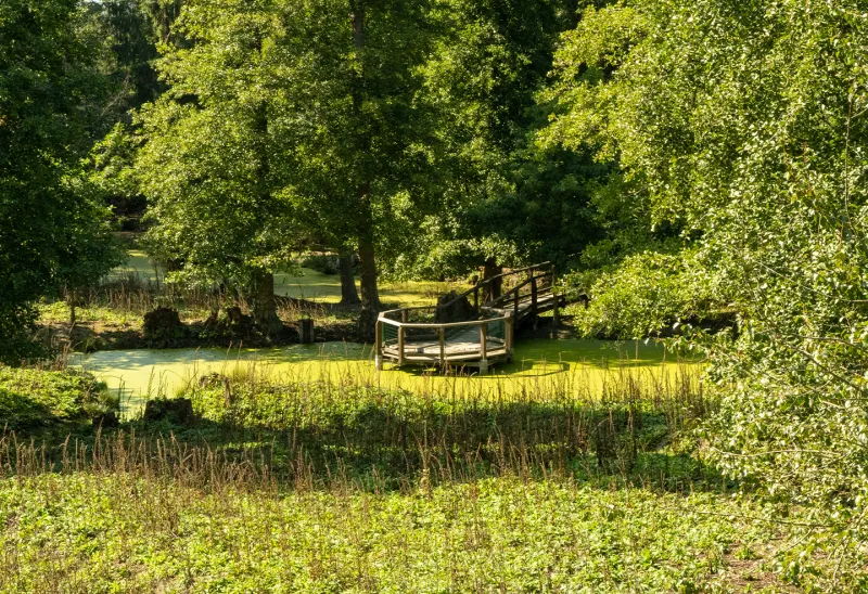 Lázeňské lesy Karlovy Vary