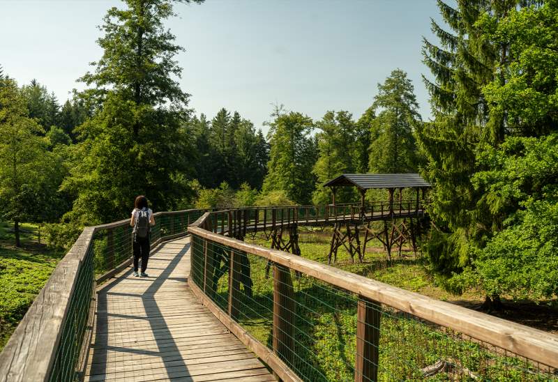 Turistické trasy lázeňskými lesy Karlovy Vary