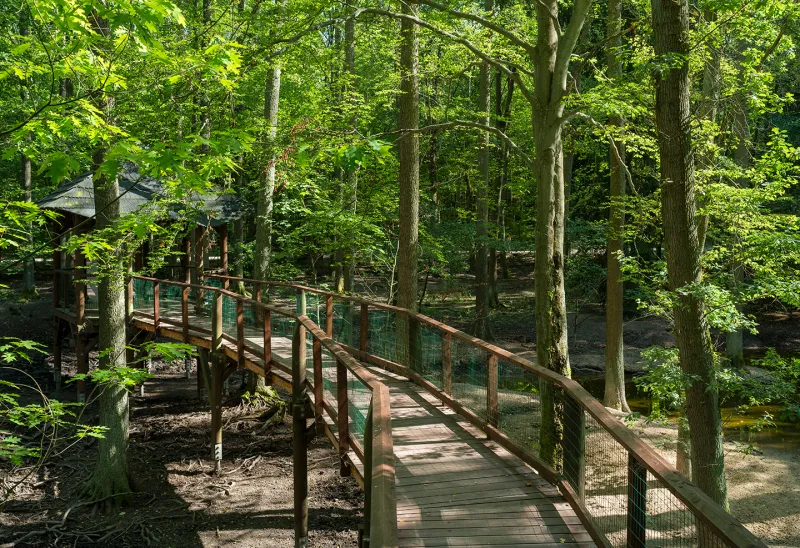Turistické trasy lázeňskými lesy Karlovy Vary